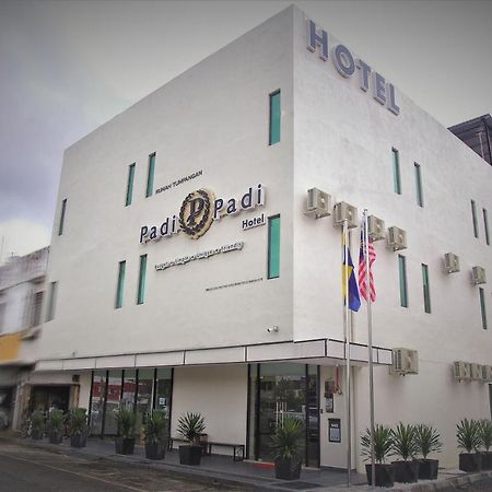 קאנגר Padi Padi Hotel מראה חיצוני תמונה